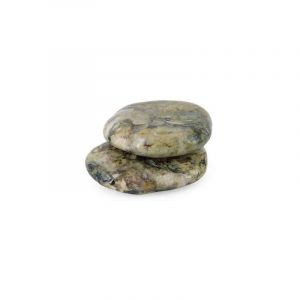 Piedra de Bolsillo Piedra Fósil