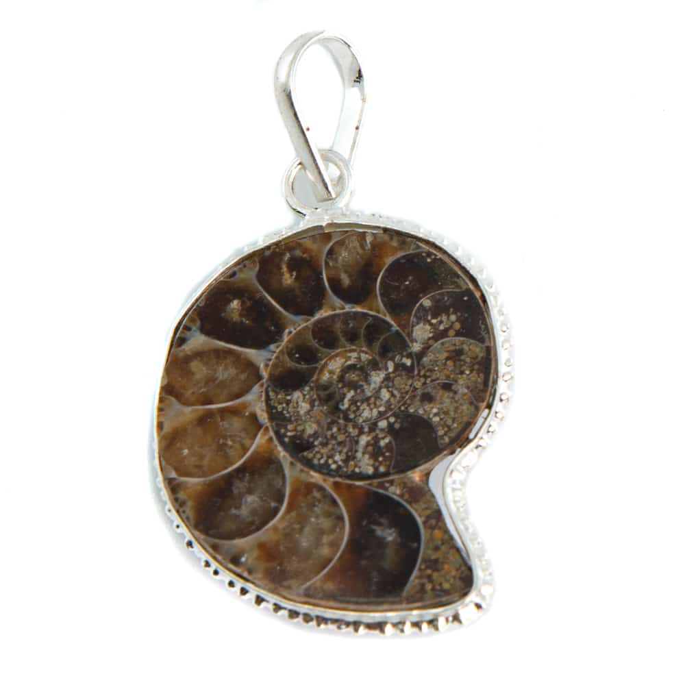 Colgante de Piedra Preciosa Ammonita - 20-25 mm